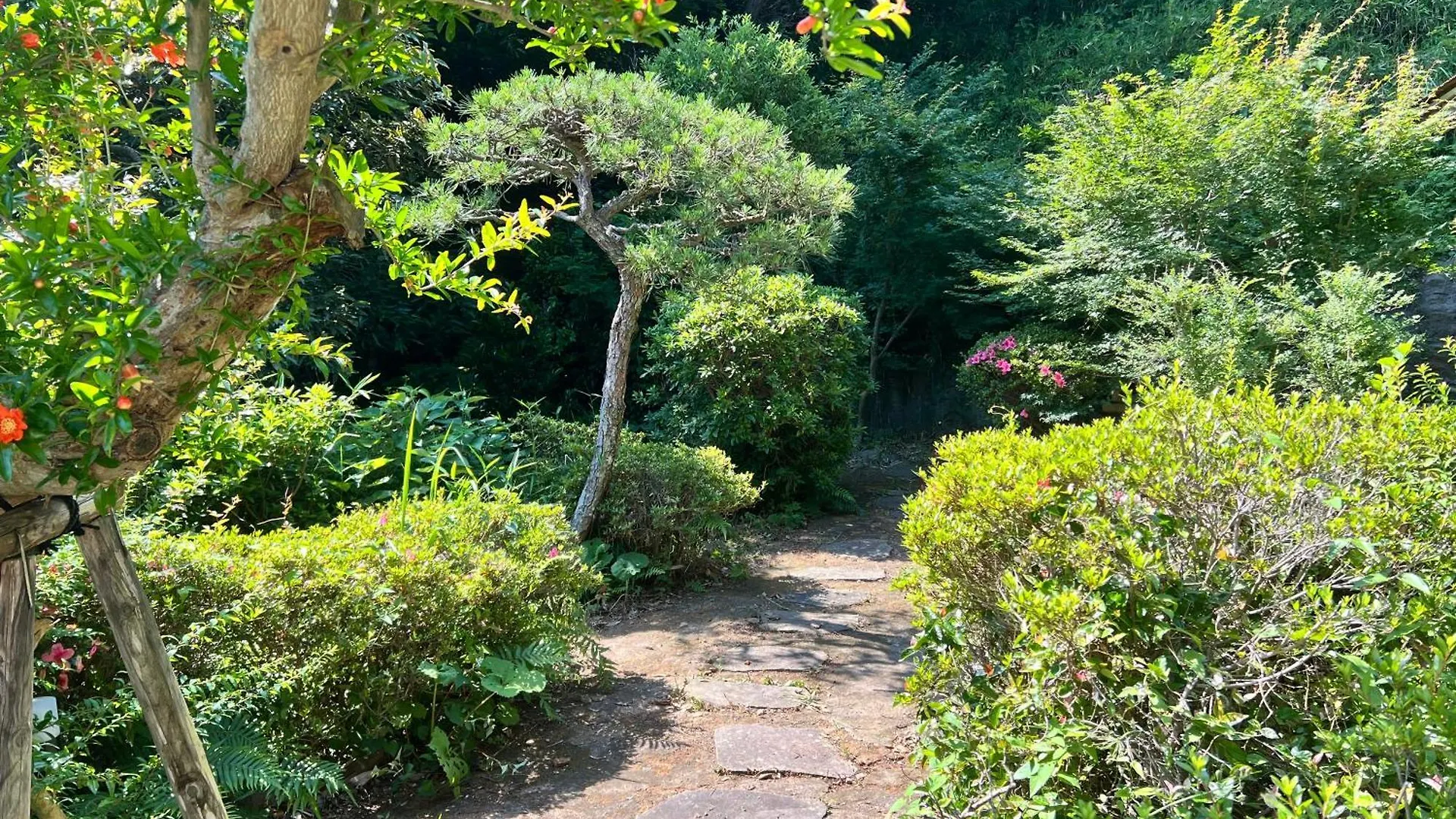 逗子市 山に囲まれた隠れ和式庭園室外bbqヴィラ 別荘